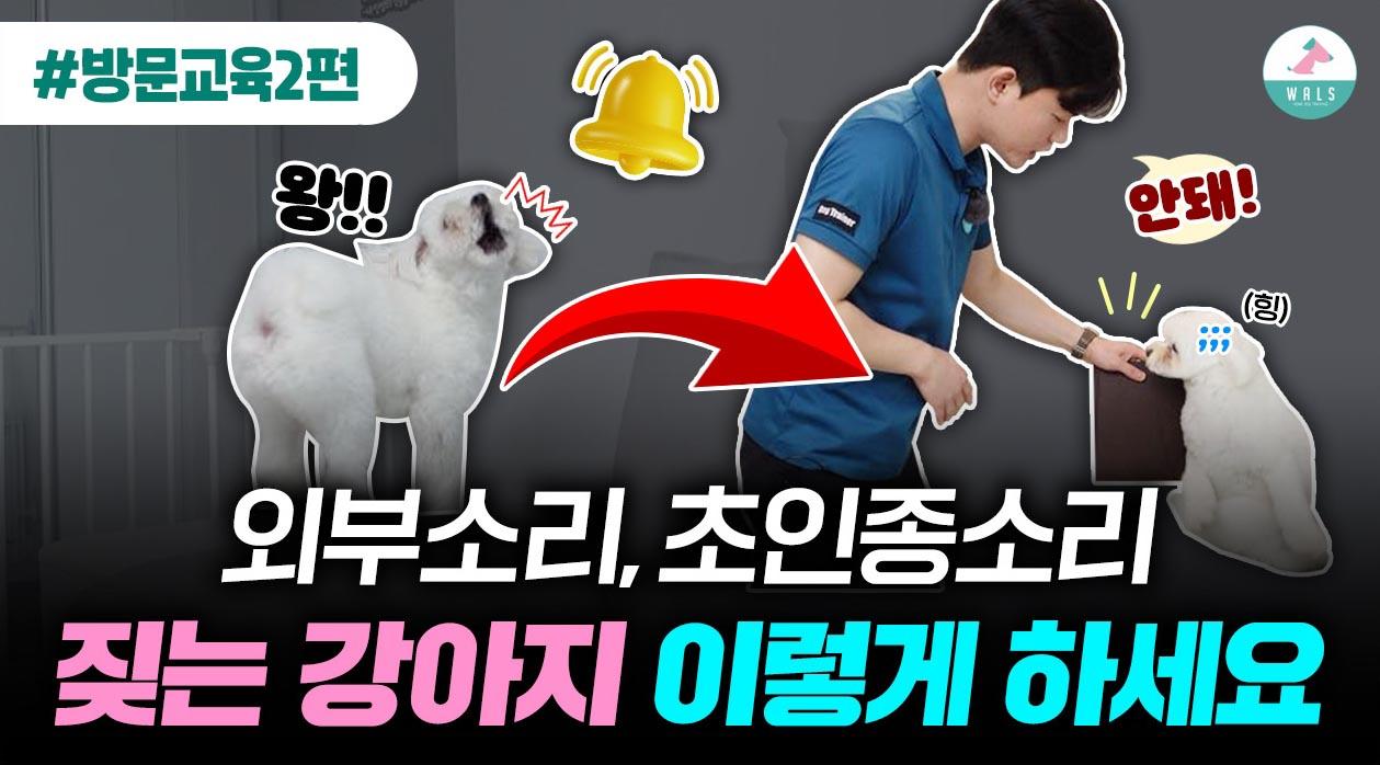 (방문교육2편) 강아지 짖음 훈련 효과적으로 하는 방법 | ZUM TV