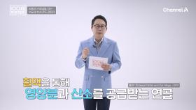 연골의 핵심은 콘드로이친★ 관절 건장 지키는 꿀팁은?