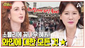 [#선넘은패밀리] 소믈리에 꿈나무 혜원과 함께하는 이탈리아 와인 투어!