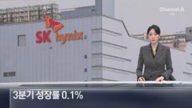 3분기 성장률 0.1%…하이닉스만 웃었다