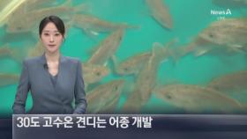 30도 고수온 견디는 어종 개발…어업도 ‘스마트’가 대세