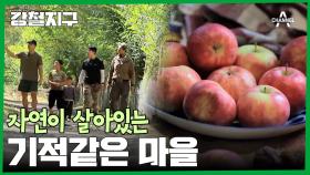 자르달리 표 유기농 한상차림! 주민들이 직접 절벽 길을 만들며 만들어진 마을!