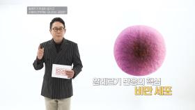 알레르기 비염과 치매 위험과 유의미한 상관관계가 있다!? 알레르기 비염이 신체 면역력에 미치는 영향은?