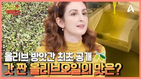 ※올리브 방앗간 최초 공개※ 올리브오일 탄생 과정 탐방! 갓 짠 올리보오일의 맛은?