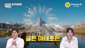 [예고] !!가는 곳 마다 대박!! 스위스 & 영탁 콜라보 투어 2탄