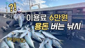 단돈6만원, 빈손으로 방어낚시!!! 이런곳은 처음봐요 ㄷㄷ
