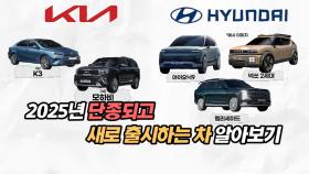 2025년 단종되고 새로 출시하는 차 알아보기