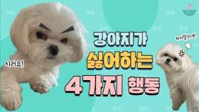 강아지가 싫어하는 보호자의 행동ㅣ절대 하지 마세요