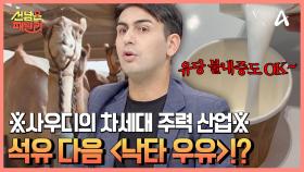 사우디의 석유 산업을 이은 차세대 주력 산업은 ☞낙타 우유☜ 낙타 우유를 직접 맛본 후기는?