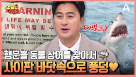 행운의 동물 ☞상어☜를 찾으러 떠난 사이판 프리다이버 부부♥