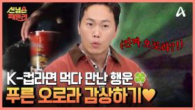 개썰매 타고 새하얀 북극 설원 라이딩=3 컵라면 먹다가 만난 오로라까지♣