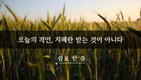 오늘의 격언, 지혜란 받는 것이 아니다