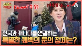 최대 시속 70km?! 140년 전통의 퀘벡 썰매까지 즐기기★