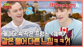 거리 곳곳 동화 같은 낭만이 가득한 
