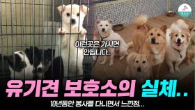 유기견 보호소 알아보신다면 이런곳만 가셔야 합니다ㅣ유기견 봉사 후원