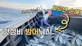 제일 싸게 대방어낚시를 하는 곳!! 4시간만에 조기입항?!