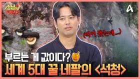 네팔 최대 규모 전통시장 ☞아산 바자르☜ 세계 5대 꿀 중 하나 네팔의 석청!