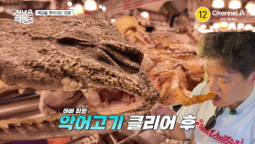 [예고] 물장군에 황소개구리까지!? 먹방 패밀리의 태국 한 달 살기 대공개