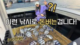 선비뽑는 돌돔낚시! ‘광따장비’로 충분합니다! (실패없음)