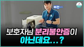 내 강아지가 분리불안증이 아닐수도 있다