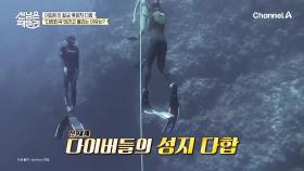 [선공개] 거리 곳곳에 보이는 한글과 태극기!? 프리 다이빙하러 한국 관광객이 많은 다합민국(?)