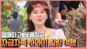 하와이에서는 온 가족이 자급자족★ 탁트인 농장에서 갓 채취한 열대과일을 즐기자!