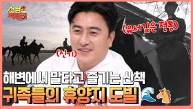 귀족 패밀리가 찾는 휴양지♨ 넓게 펼쳐진 해변에서 승마를? 프랑스 해양도시 