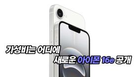 가성비는 어디에? 새로운 아이폰 16e 공개