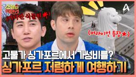 무서운 물가로 유명한 싱가포르... 높은 물가 속 가성비 여행코스가 있다?! 싱가포르 주요 랜드마트 투어 저렴하게 끝내기!