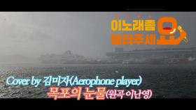 이불…목포의 눈물 Cover by 김미자 (원곡 이난영 / Aerophone player)