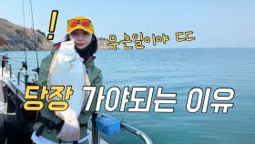 벌써 광어다운샷 터졌다고?! 올해는 완전히 다릅니다!