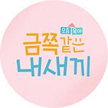 요즘 육아 금쪽같은 내새끼