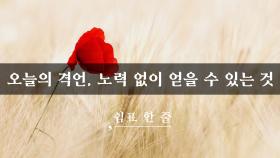 오늘의 격언, 노력 없이 얻을 수 있는 것