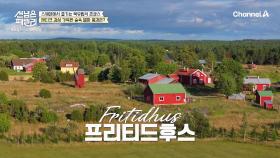 [선공개] 자동차로 다리만 건너면 덴마크에서 스웨덴!? 짦은 여름을 최대한 행복하게 보낼 수 있는 프리티드후스