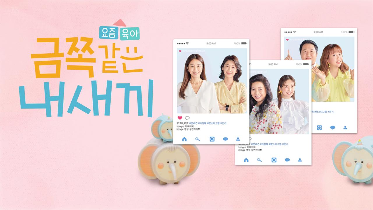 요즘 육아 금쪽같은 내새끼 | ZUM TV
