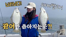 비밀인데…광어 다운샷 갑자기 터졌다고?! 말도 안돼!