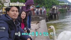 [선공개] 흐린 날씨에는 신비로운 분위기가 더해지는 곳! 오스트리아 알프스 