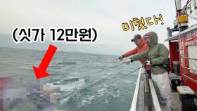 요즘 이 낚시로 용돈 번다네요?! 괴물 잡으러 전국을 다녔습니다!!