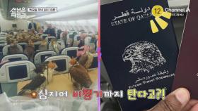 [예고] 매가 비행기까지 탄다고?! 카타르 패밀리가 알려주는 신박한 볼거리