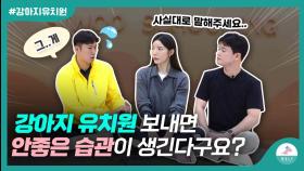 강아지유치원 보내면 문제행동이 생길 수 있는 이유