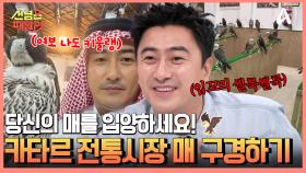 카타르 예전 모습을 간직한 전통시장 같은 곳, 아라비아 전통 시장에서 매 구입하기?!