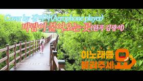 이불…바람이 불어오는 곳 Cover by 김미자(원곡 김광석 / Aerophone player)