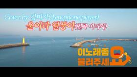 이불…울어라 열풍아 Cover by 김미자(원곡 이미자 / Aerophone player)