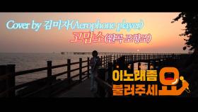 이불…고맙소 Cover by 김미자(원곡 조항조 / Aerophone player)