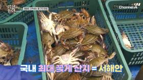 서해 하면 꽃게! 그런데 어획량이 많이 줄었다? 인천 상인들에게 듣는 수산 이야기