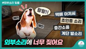 외부소리에 짖는 강아지ㅣ 간단한 교육방법