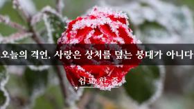 오늘의 격언, 사랑은 상처를 덮는 붕대가 아니다