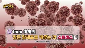 스트레스는 암세포를 깨워버린다! 몸에 나쁜 영향만 주는 그것!