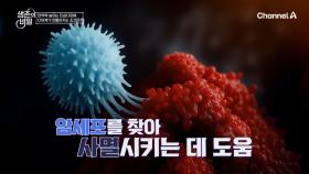 몸속 바이러스를 물리치는 '인삼다당체' 암세포를 강하게 제거한다고?