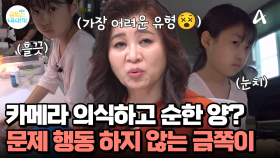 자꾸만 카메라를 흘끗거리는 금쪽이, 카메라 앞에서만 순한 양이 된다?!